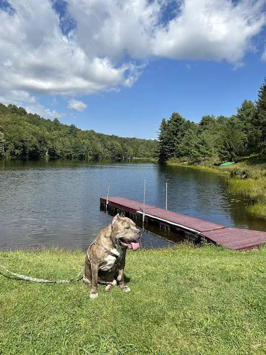 Mountaindale Campground Picture 10