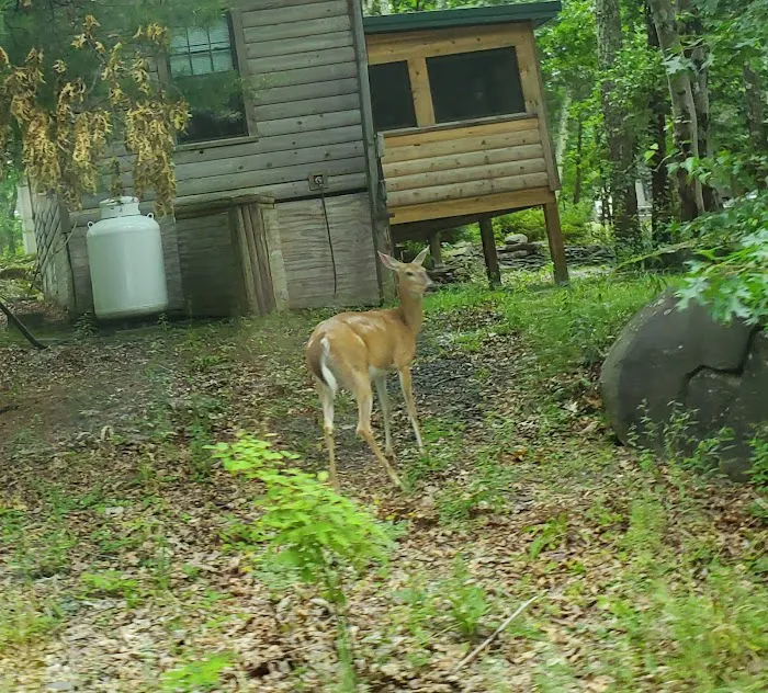 Trails End Campground Picture 3