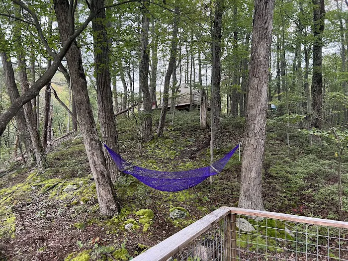 The Awosting Club Picture 9