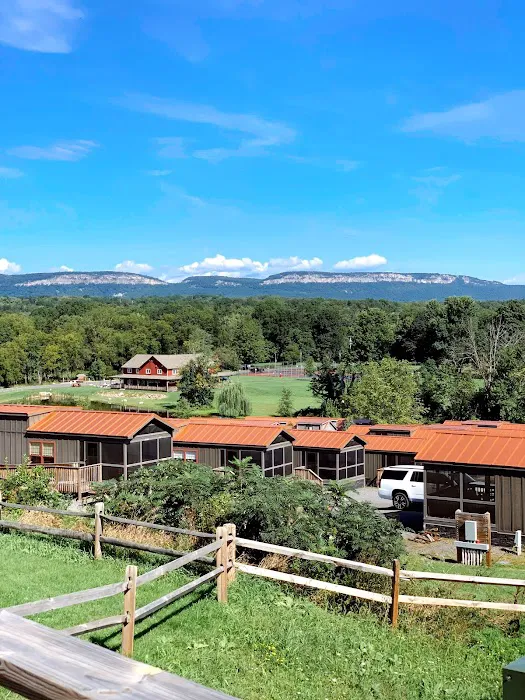 Jellystone Park™ Gardiner Picture 9