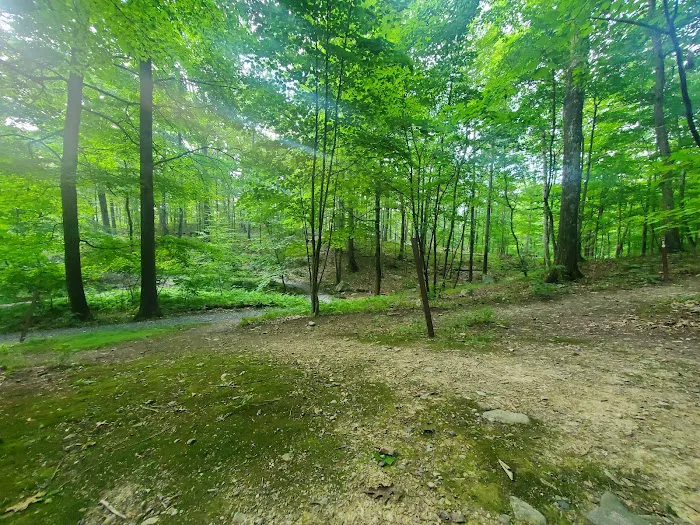 Samuel F. Pryor III Shawangunk Gateway Campground Picture 4