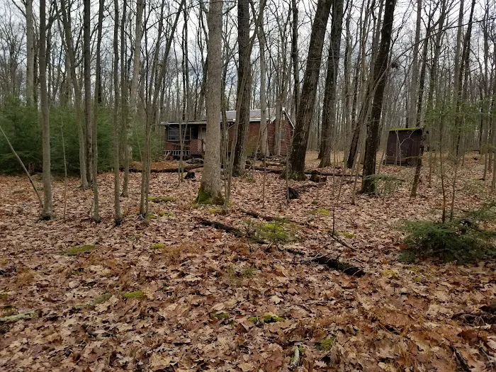 5 Mile Meadow Road - Entry Picture 1