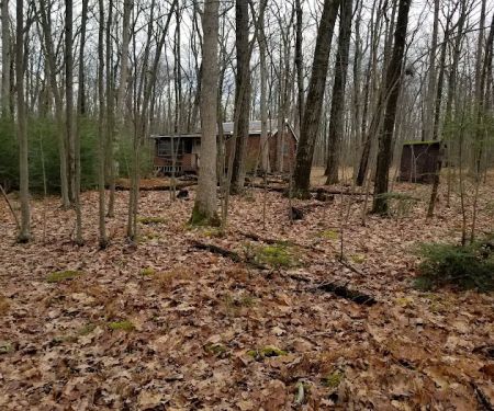 5 Mile Meadow Road - Entry