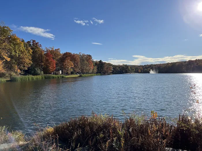 Lake Adventure Community Association Picture 5