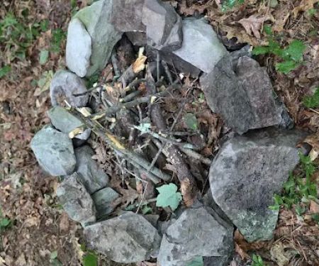 State Forest Campsite #S006