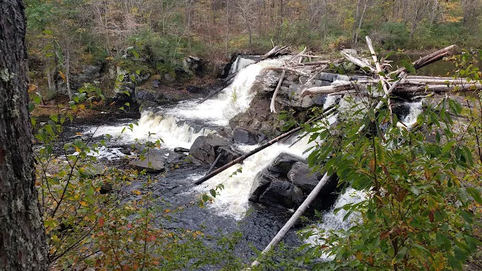 Resica Falls Scout Reservation Picture 6