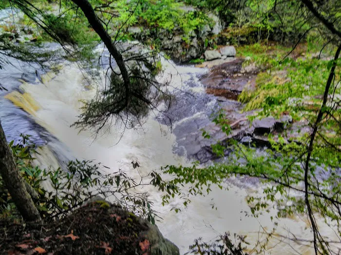 Resica Falls Scout Reservation Picture 8