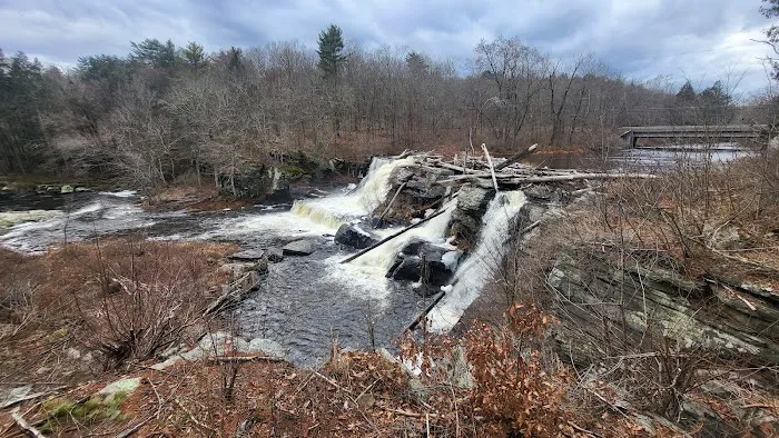 Resica Falls Scout Reservation Picture 7