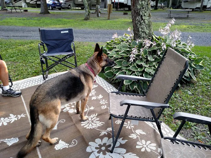 Four Seasons Campground Picture 5