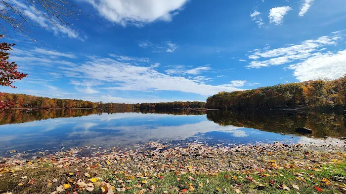 Otter Lake Camp-Resort Picture 5