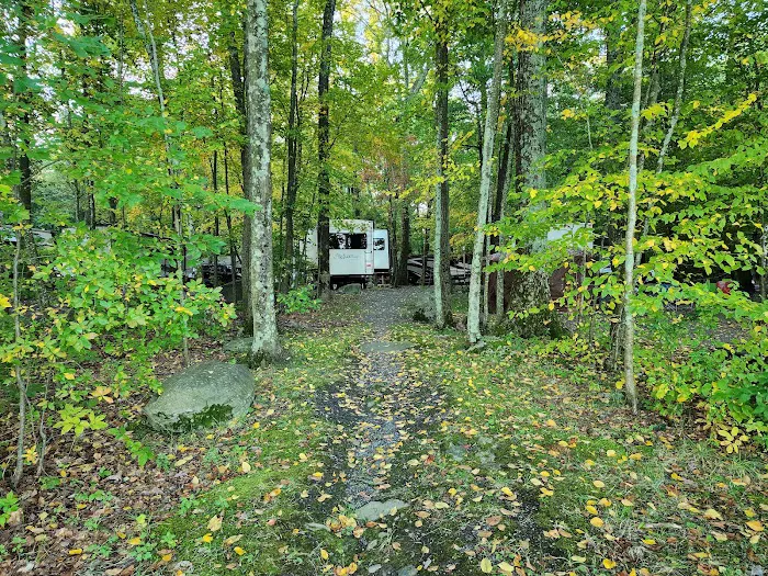 Otter Lake Camp-Resort Picture 8