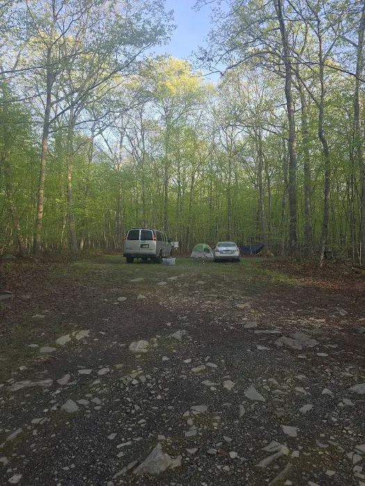 State Forest Campsite #S001 Picture 4