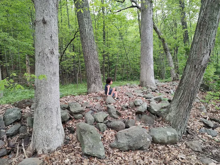 Silver Valley Campsite Picture 2