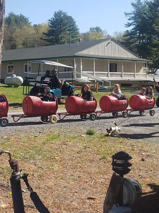 Silver Valley Campsite Picture 7