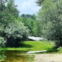 Chestnut Lake Campground ico