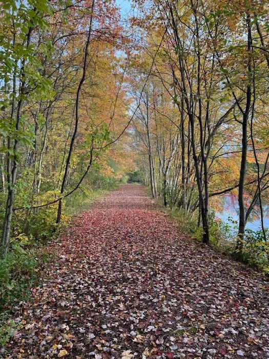 Chestnut Lake Campground Picture 9