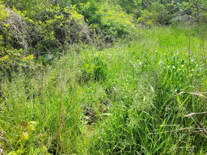 Oldman's Creek Campground Picture 10