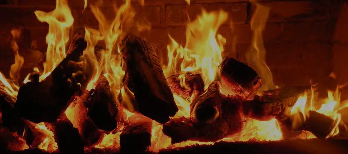 Oldman's Creek Campground Picture 9