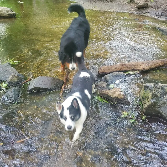 Old Cedar Campground Picture 9