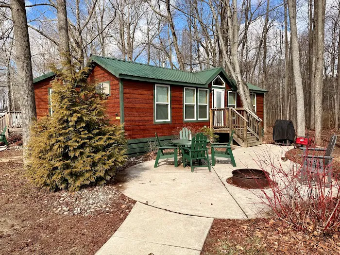 Deluxe Cabin 306 Picture 4