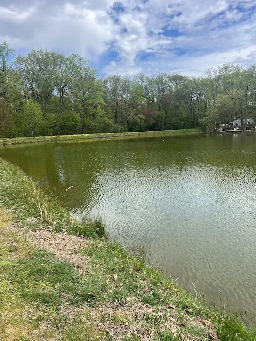 Four Seasons Family Campground Picture 1