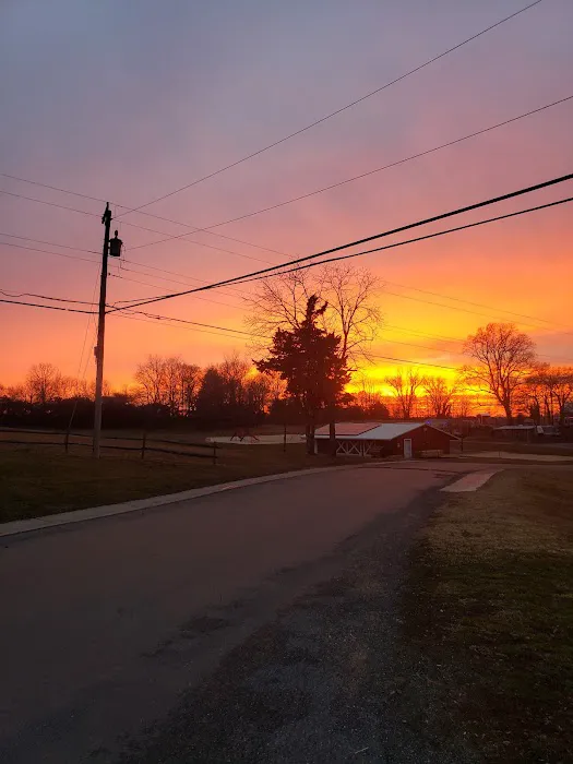 Four Seasons Family Campground Picture 2