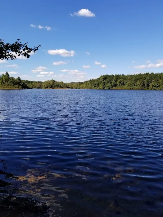 Jaggers Point Campground Picture 6