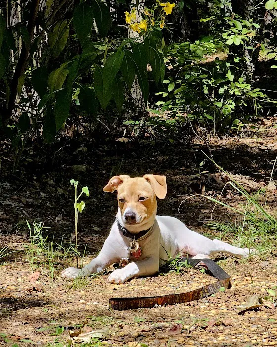 Jaggers Point Campground Picture 5