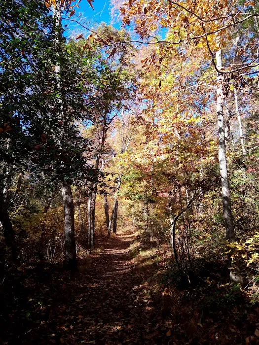 Jaggers Point Campground Picture 2