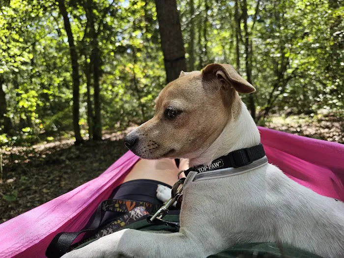 Jaggers Point Campground Picture 7