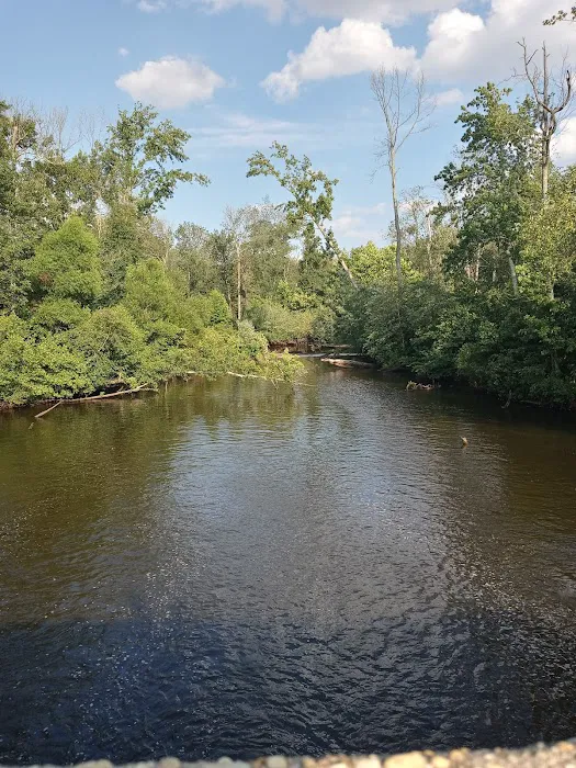 Jaggers Point Campground Picture 4