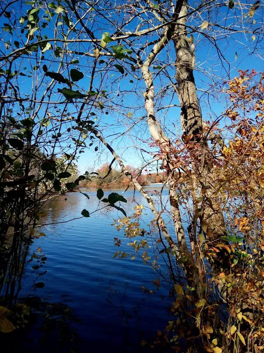 Jaggers Point Campground Picture 8