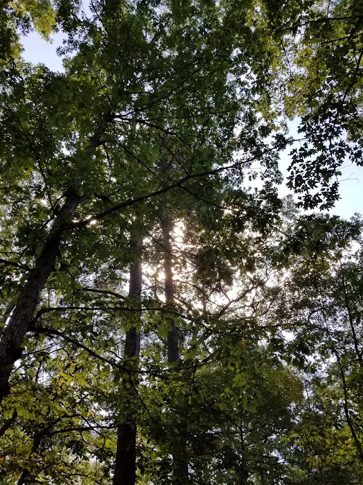 Jaggers Point Campground Picture 3