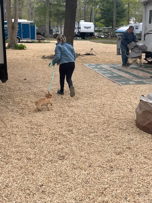 Buena Vista Campground Picture 2