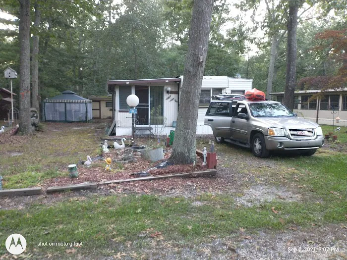 Lot E 2 White Oaks Area within Buena Vista Campground and Resort Picture 2