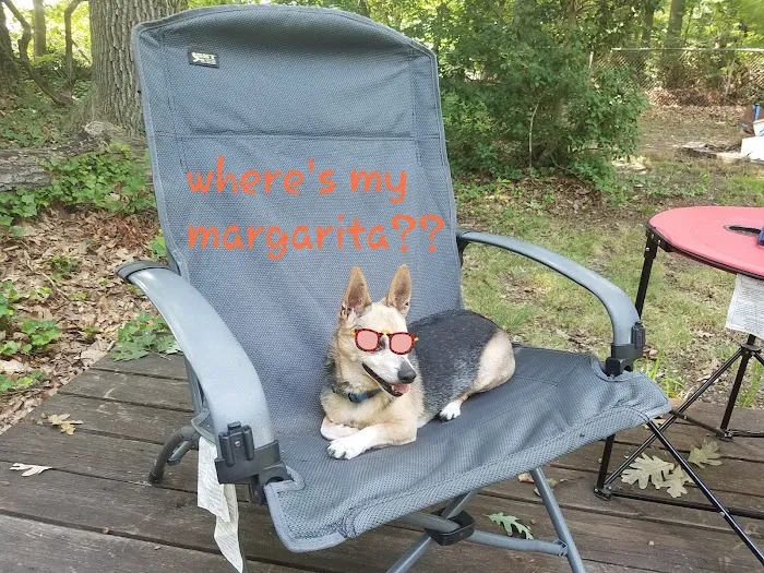 Lot E 2 White Oaks Area within Buena Vista Campground and Resort Picture 8