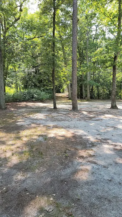 Parvin group camp parking Picture 4