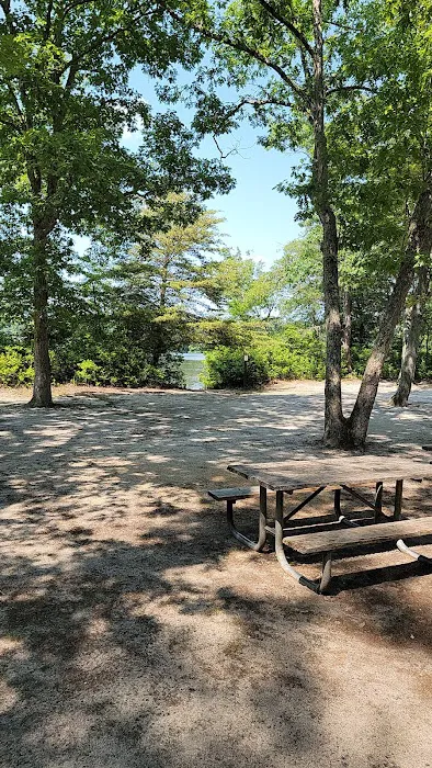 Parvin group camp parking Picture 2