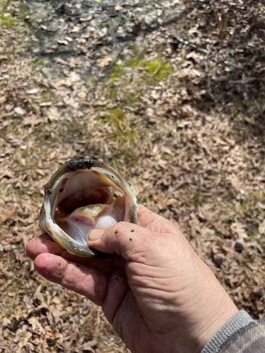 Parvin group camp parking Picture 9