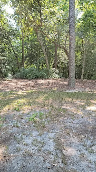 Parvin group camp parking Picture 8