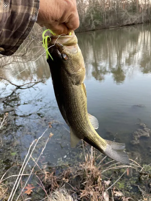 Parvin group camp parking Picture 10