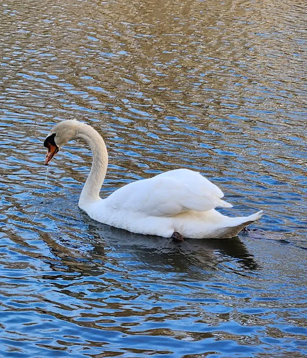 Thundergust Lake Cabin Area Picture 8