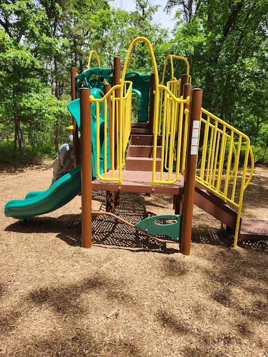 Thundergust Lake Cabin Area Picture 6