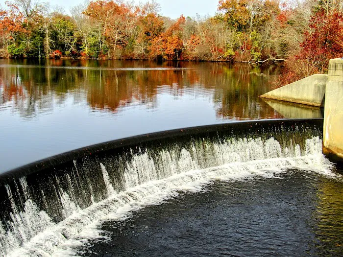 Thundergust Lake Cabin Area Picture 9