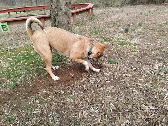 Ridley Campgrounds Picture 7