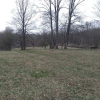 Ridley Campgrounds ico