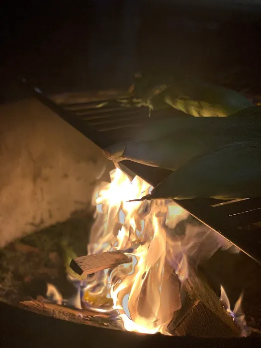 Mays Landing Campground Picture 6