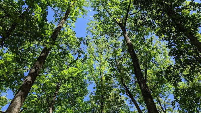 Boulder Woods Campground Picture 7