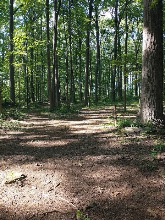 Boulder Woods Campground Picture 9