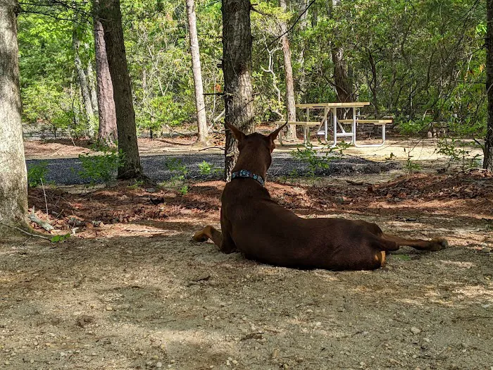 Ocean City Campground & Beach Cabins Picture 9